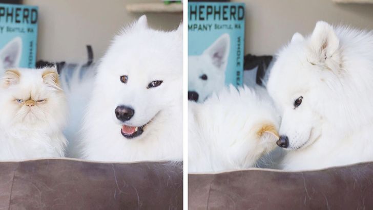 17eda85e00a492fc625b0384f9