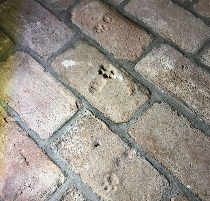 17f38855759ee9a6d1e936d14d