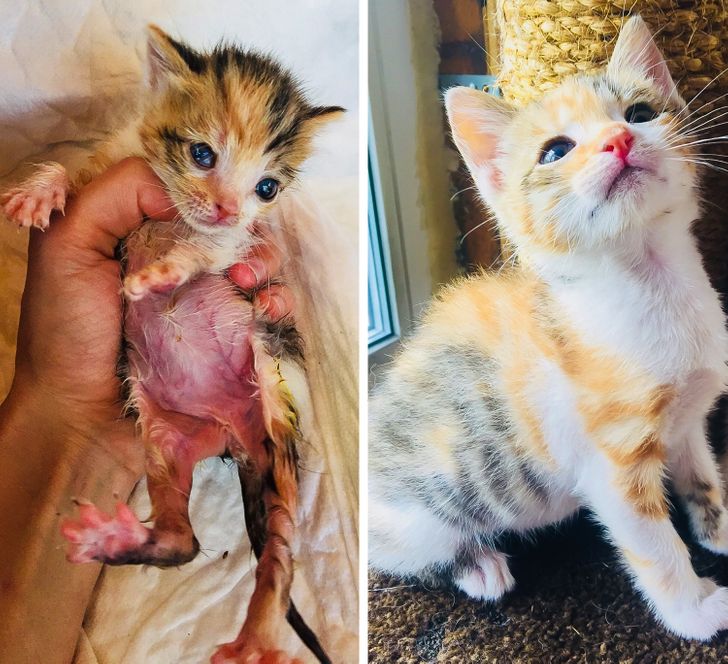 17f96552038620946dc2b0cfea