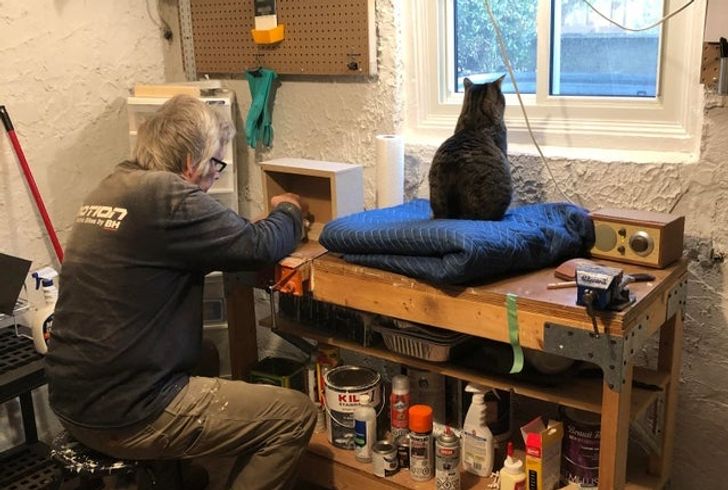 17fefd53cfa383f86f4d40219b