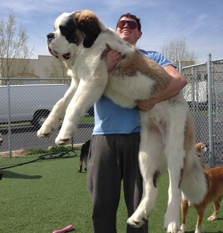 18017553f78b097328ba64e2cb