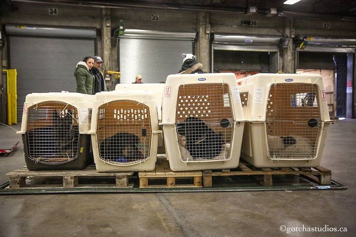 1806b154539f931cd00872536e