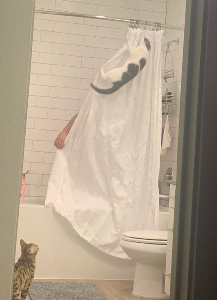 18079e524290d7a5571fed8a0f