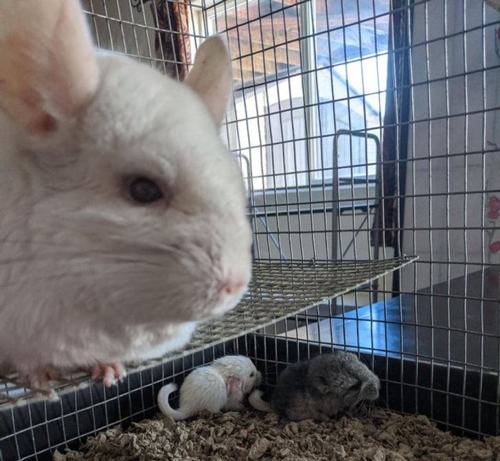 181ec3572aaf13f9966f93bc52