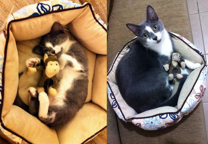 181edf5ddcac6feec39e2b2cdc