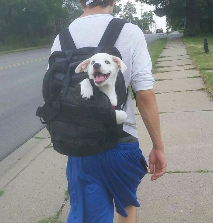 18244c571888ed8fda57ee3024