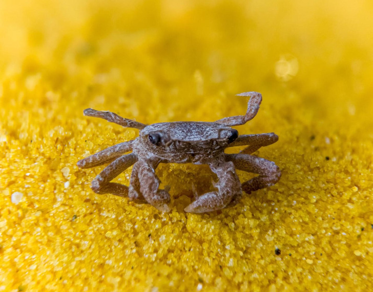 1828a857ec9d8ea75e704811c4