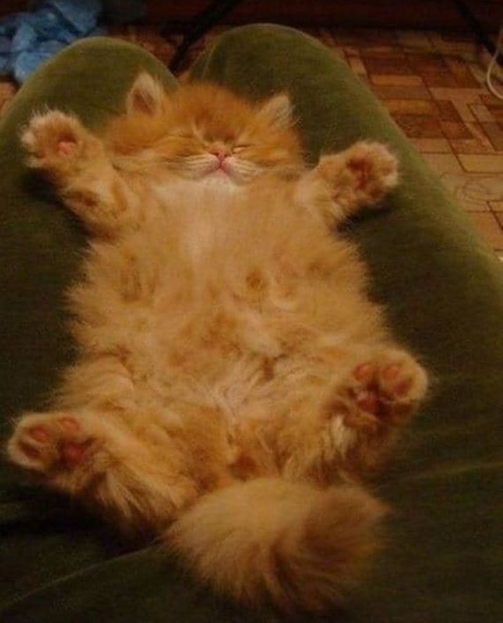 182c0950558d4dabda6ad141a2