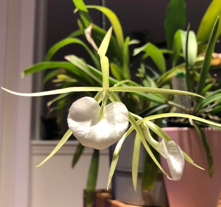 1830a65ec98d20066aab4c8d1c 1830a65ec98d20066aab4c8d1c