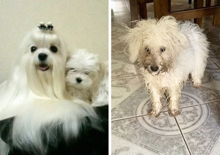 1838b45787be320f9b527315f2