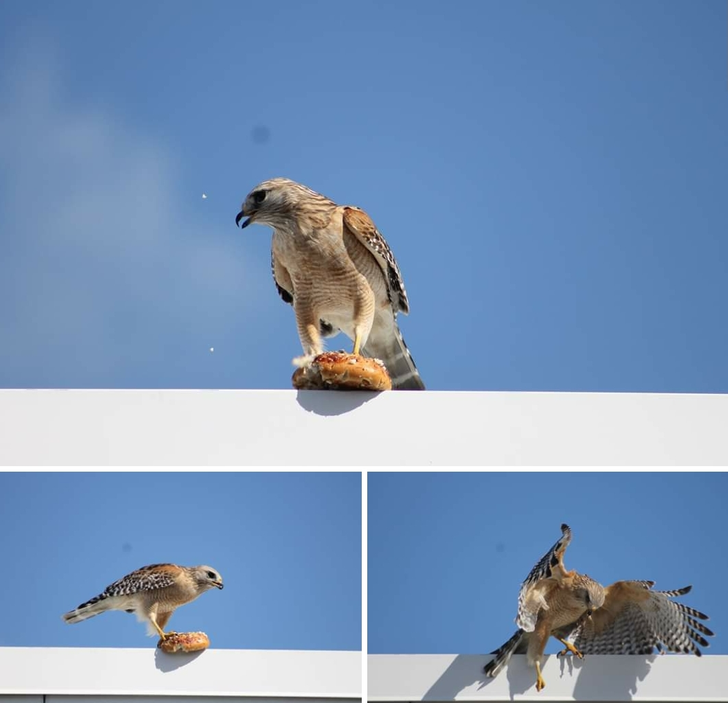 183af150b683b9b773c74e2d99 183af150b683b9b773c74e2d99