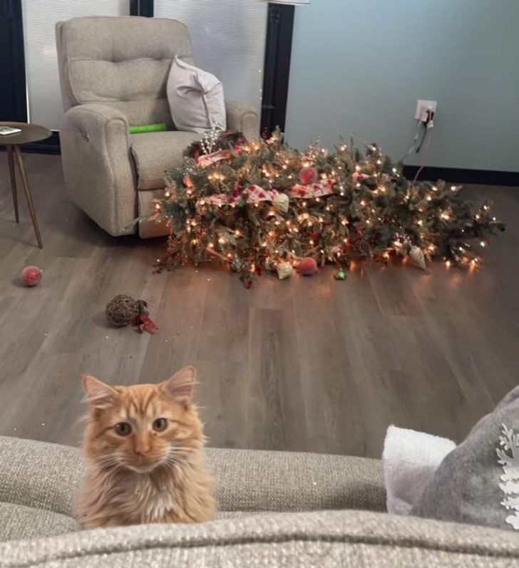 1841b25825a6ad91598fc3b22a