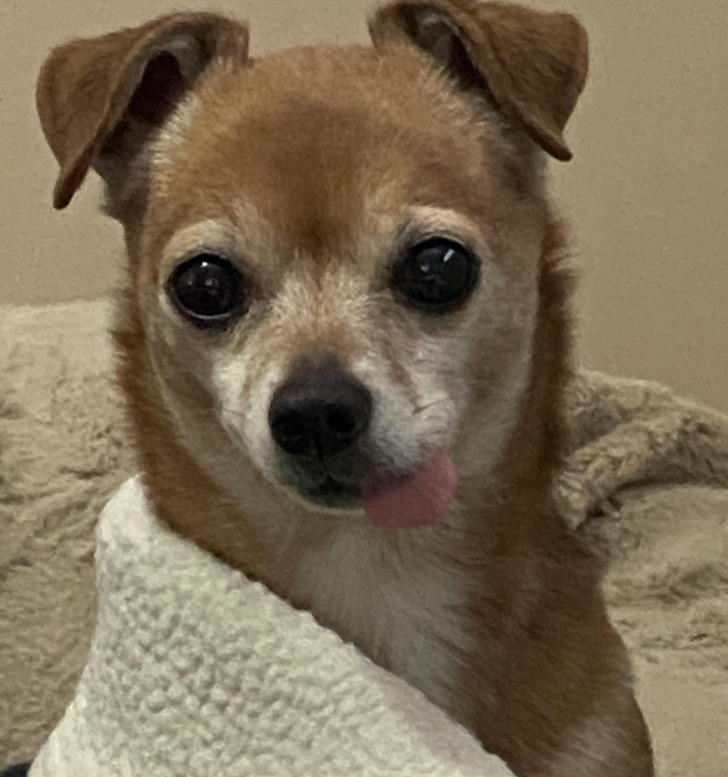 18473f5a1f9a2138a7a83bffdd