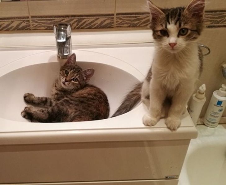 185019584190e7d93c1d0c49bf