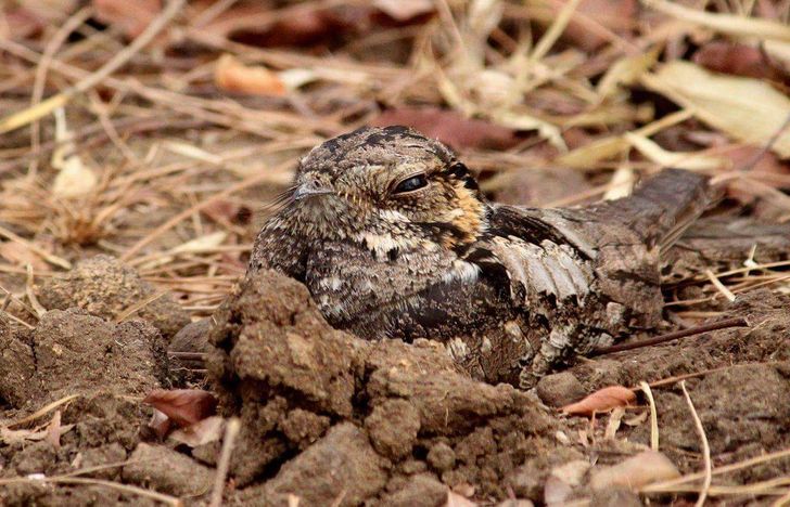 18506c586aa69328e968a39ef6