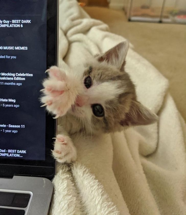 1855b65bf389d72f484c07e253