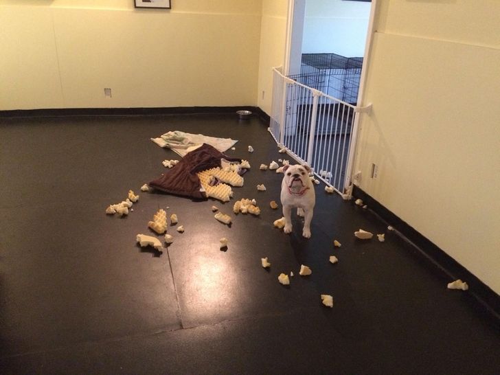 18570b580b9c289c9837e4c50d