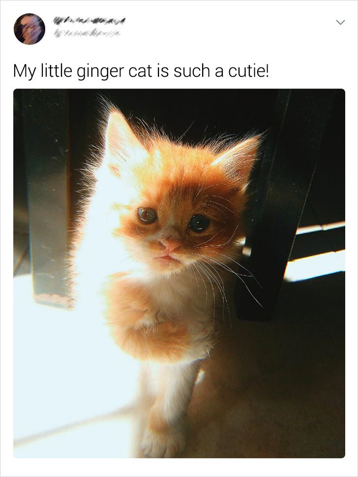 1859845fbb9652f8225cb9638e