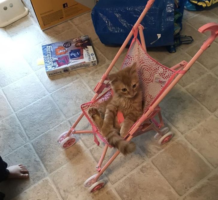 185e3853d1a98e218ec06deca3 185e3853d1a98e218ec06deca3