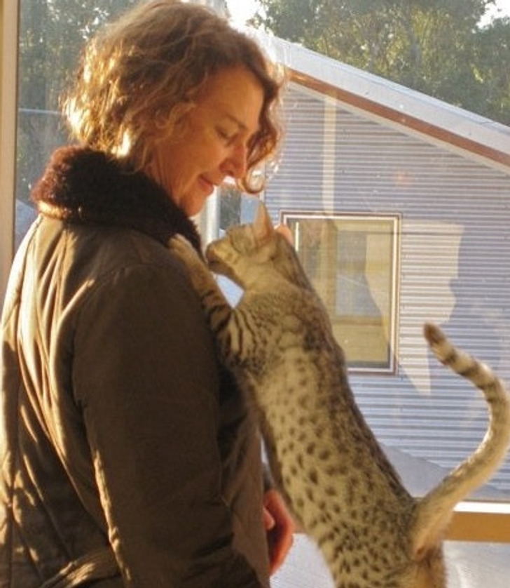 18629954be83d3a055db05b9c6