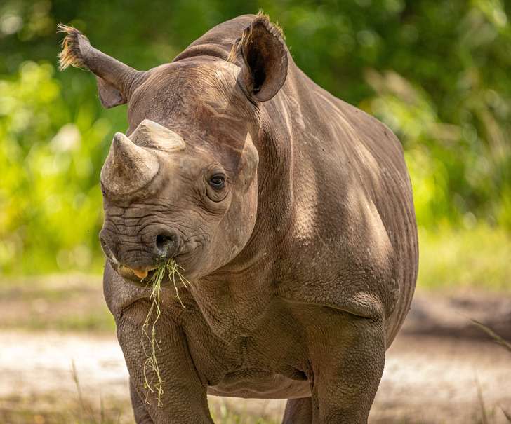 18633d5a6cb3477d87102e2446