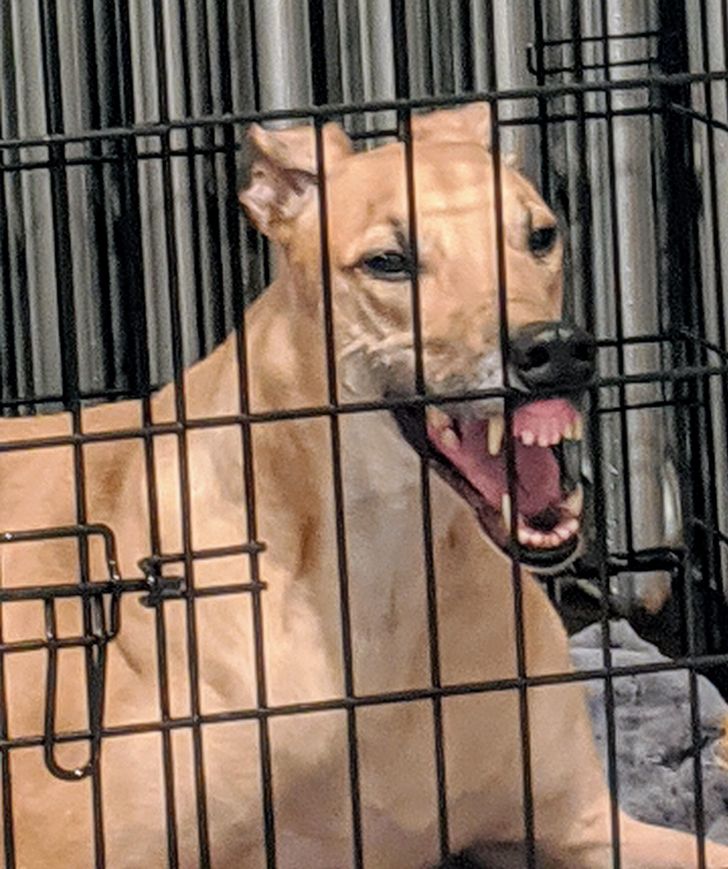 1869a85bc8b5f2bfb27e1c241c