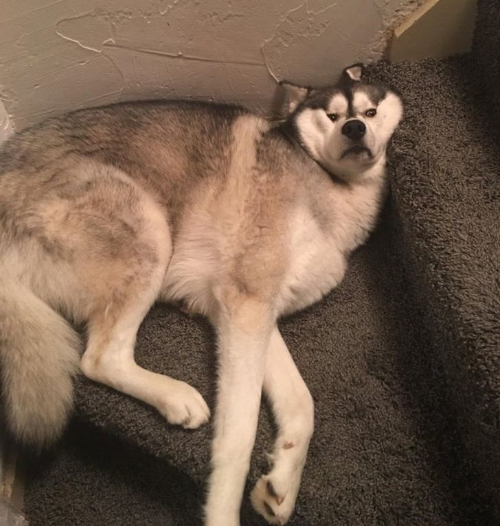 1871975617b3ca3643183210d0