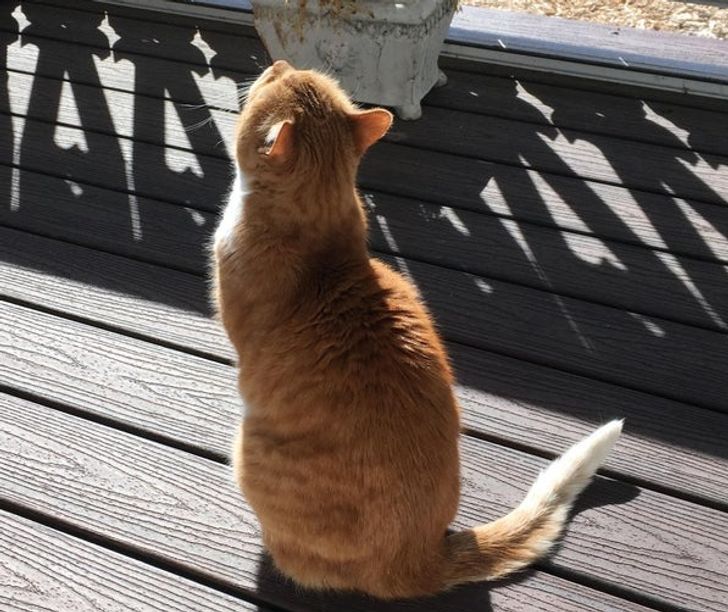 18751454d3bdd13607935a1343 18751454d3bdd13607935a1343