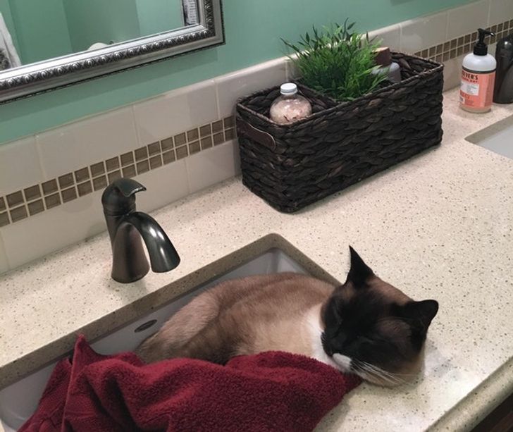 1877d157539a22763f60549b82 1877d157539a22763f60549b82