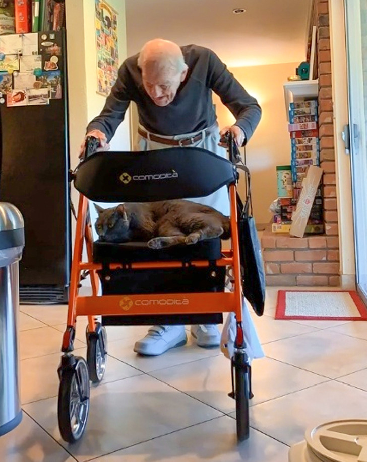 1883b4538b94a953eab7420ec2