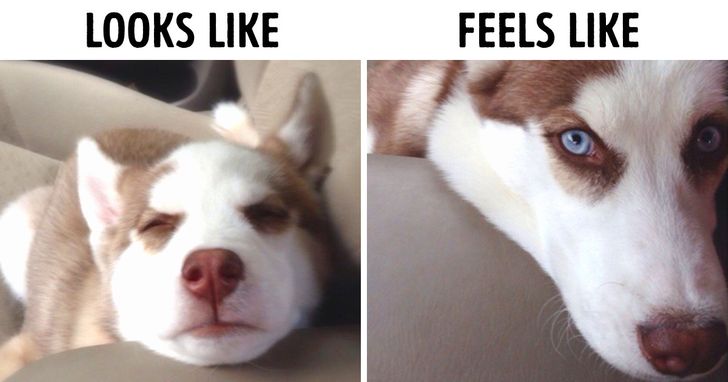 1889365a7391080aea487a4036