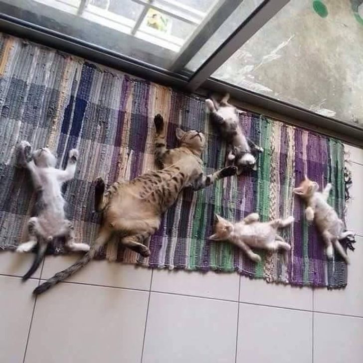 188e4a571c86053998ecfe9f94 188e4a571c86053998ecfe9f94