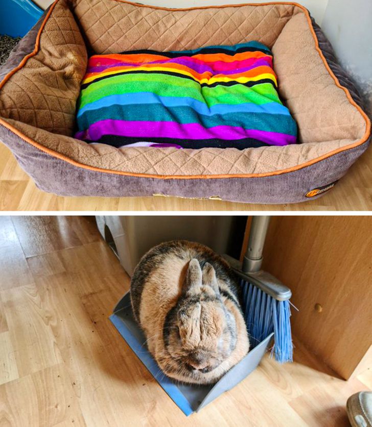 189e8c55548367ad6d4fb01386