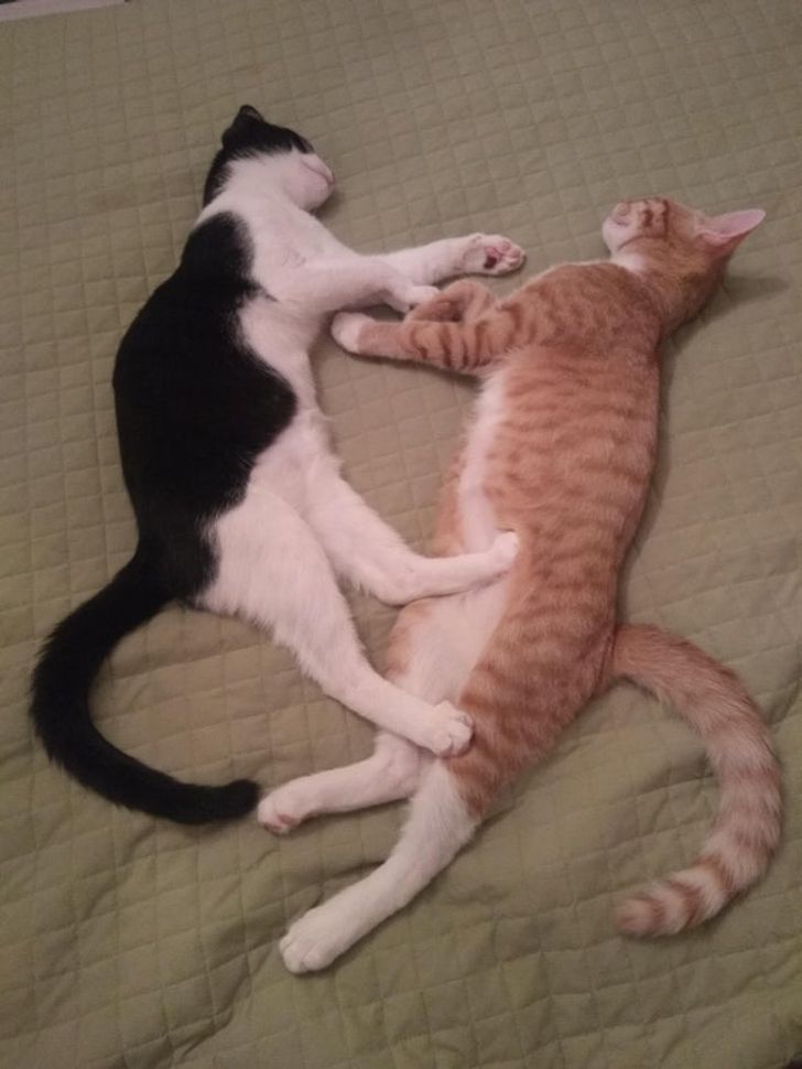 189eb55cf5b41078b94c045d04