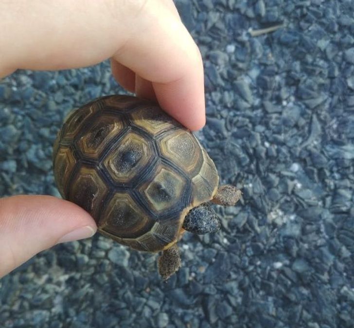 18a85755f4b2c5e92ae8ff64ec