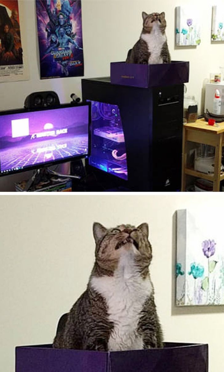 18a9125fc18feb47f0bd176043