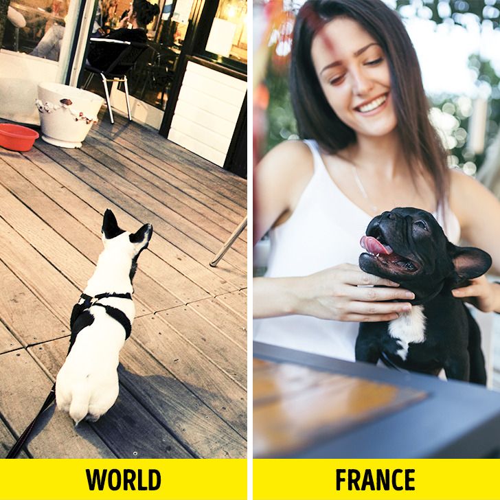 18aa005456b4864431c286e7fd