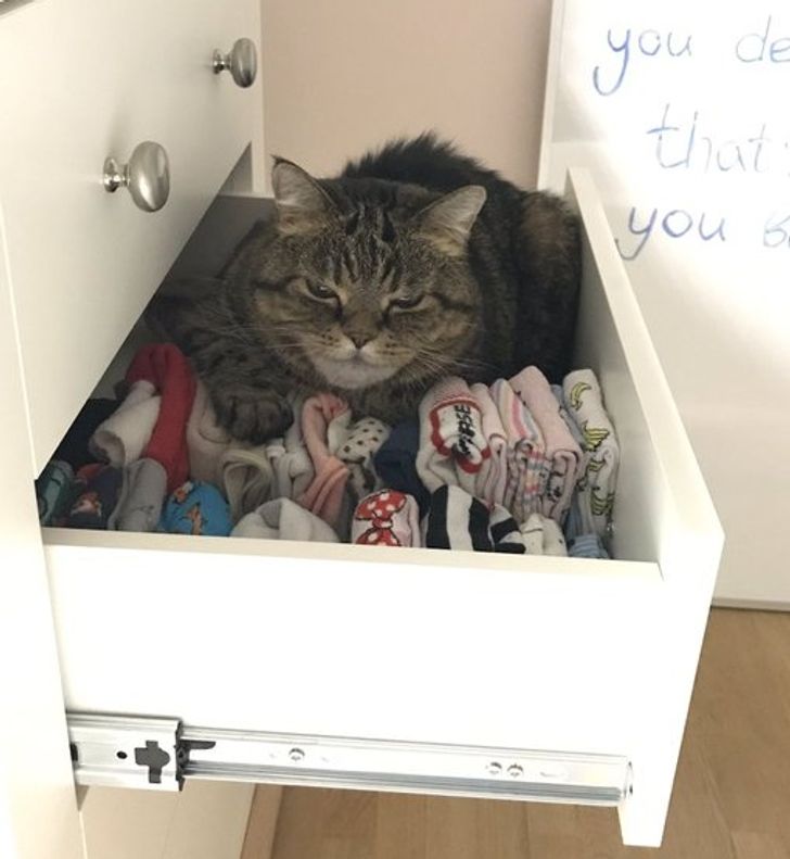 18aac45e19acf71c59ffcdb9c7