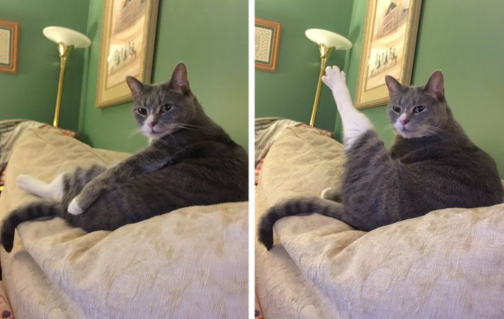 18ae4c5b4791a8dcaeac503fb9