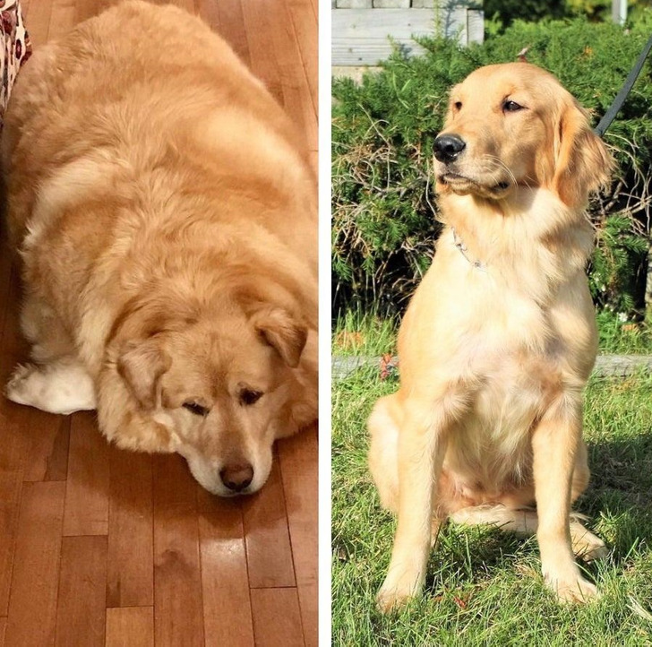 18b0495a2cadcceb04865bf543