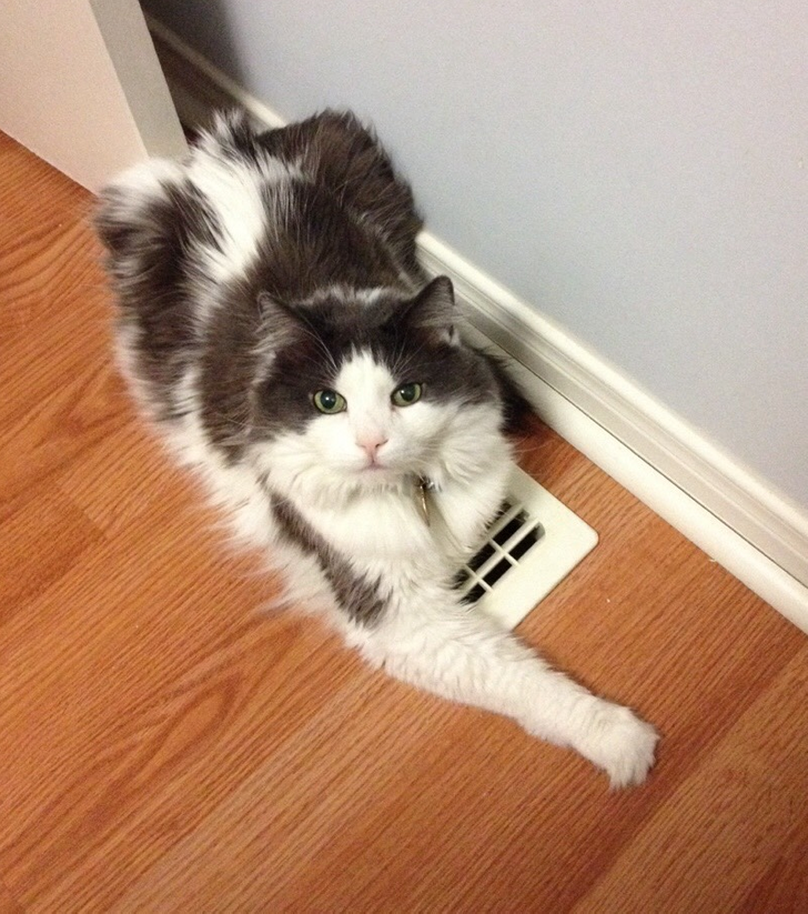 18b1c65fb69a9af0cd63188966