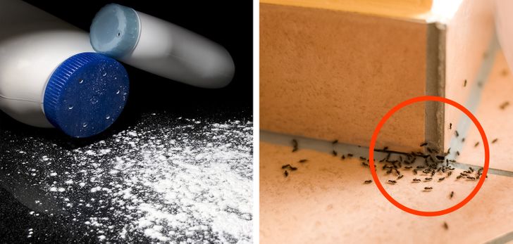 18b41953c89d4247968e12d126