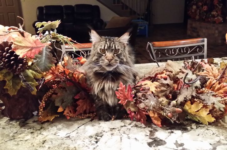 18bad45f1cbfcb7047c957b81e