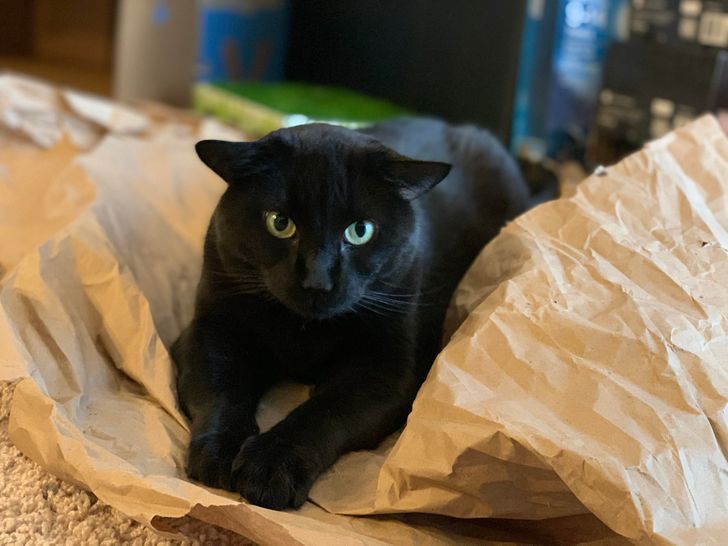 18bc26575f8d28e9242385ebb0