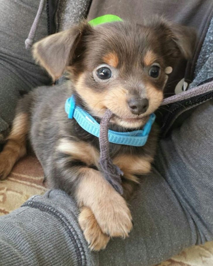 18cba052c0b9a74243e8c22076