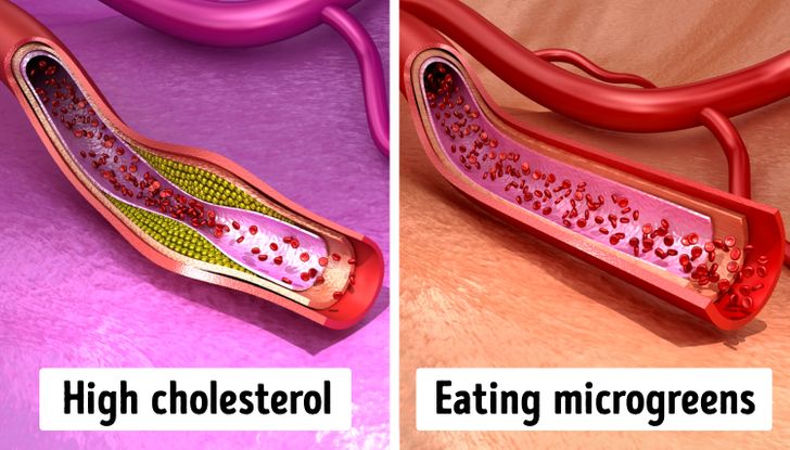 18d013568191058b0e4d8b7b77