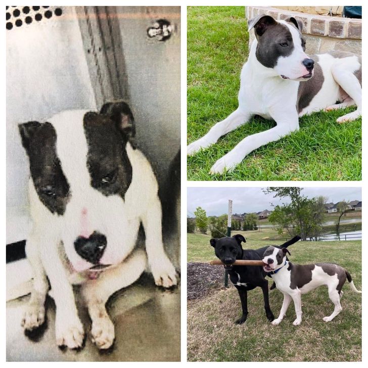 18d1285fce9f432c6888ab55e6