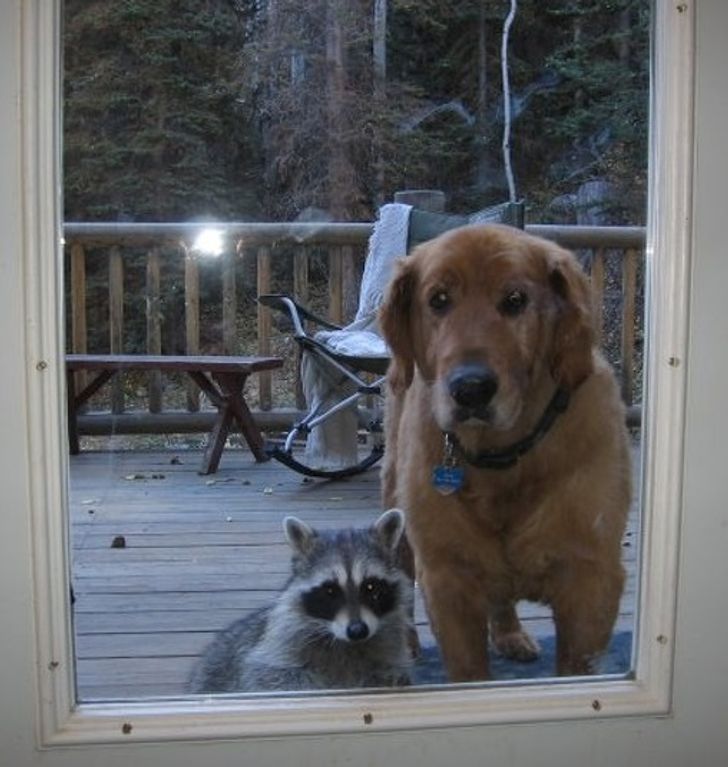 18d3495dcda39ff64062d7f93e