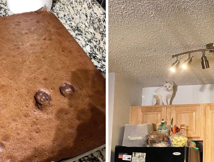 18d9375fdcb4c3074d9af16618