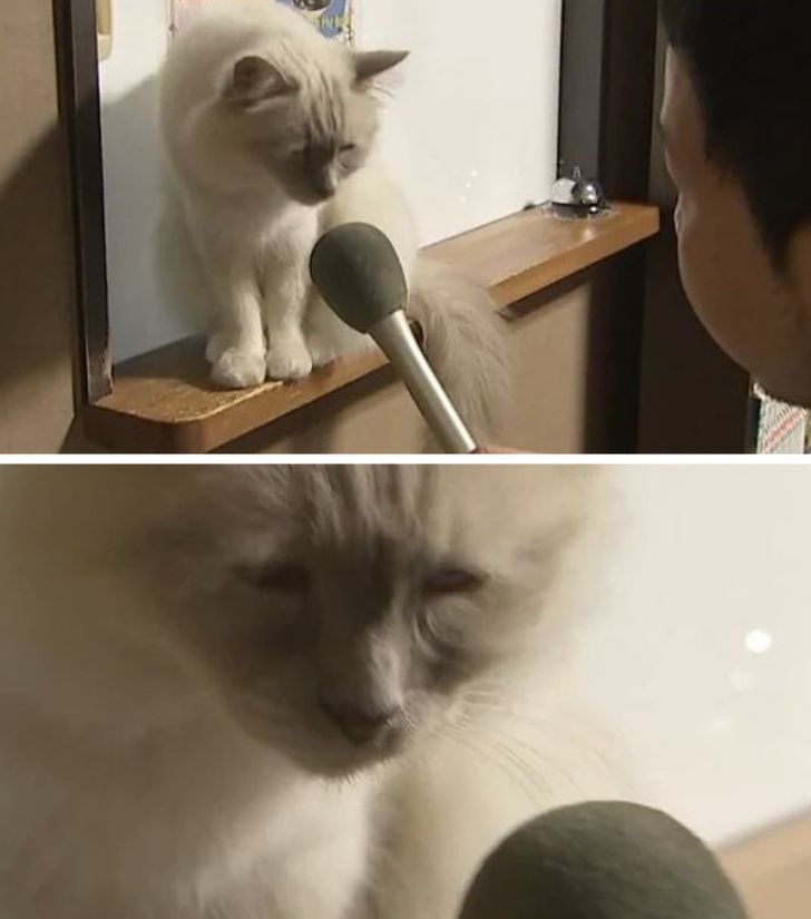 18da005410bf9b798a348c9e74